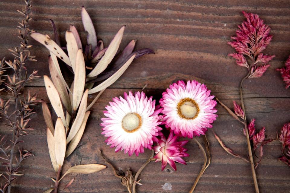 Pink flowers dry on a ledge.