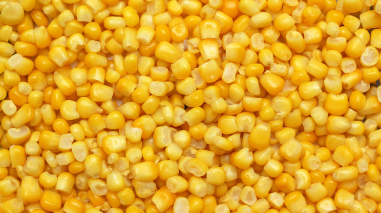 Closeup of corn kernals