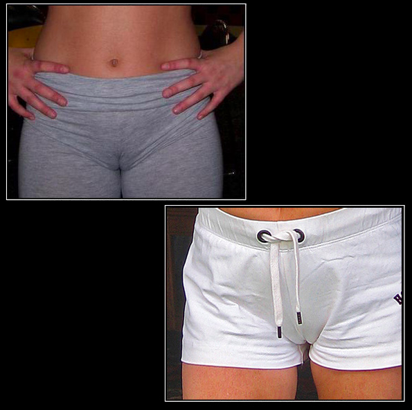 Fake Camel-Toe Underwear: Why?