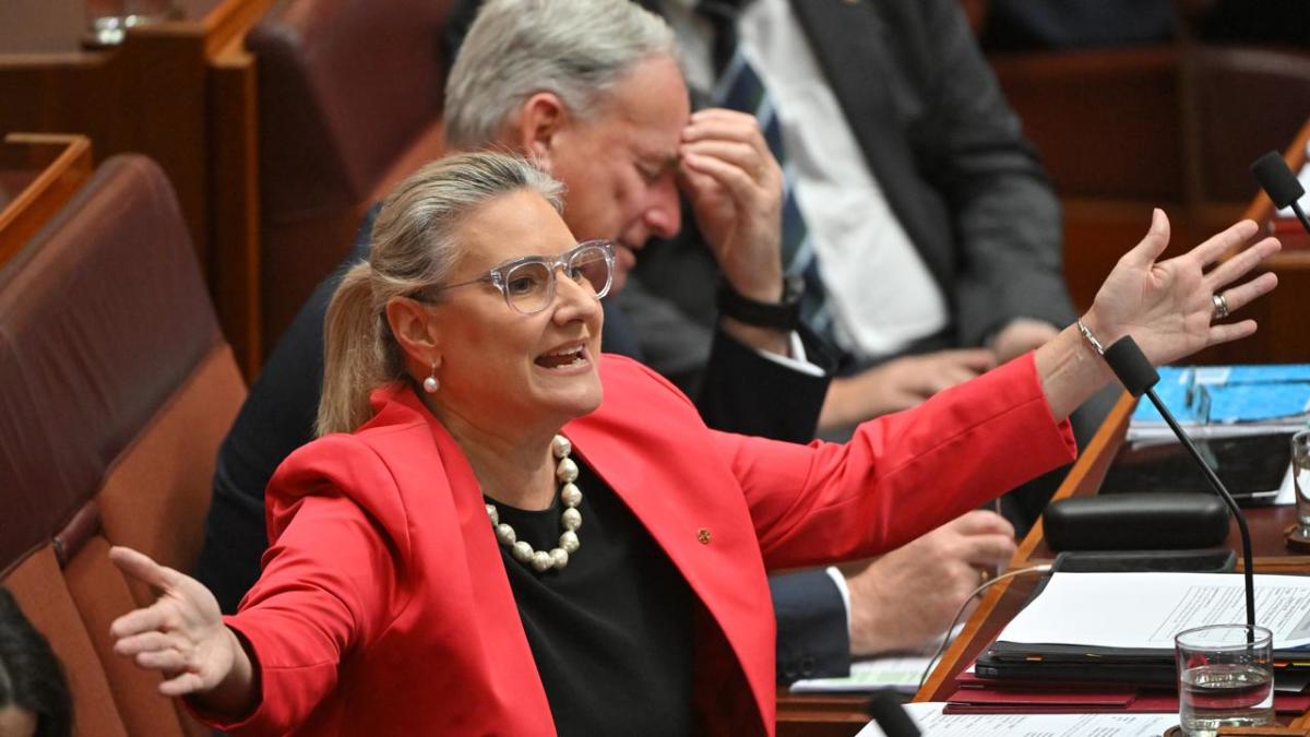 Menopause leave will cost women jobs, Liberal MP says