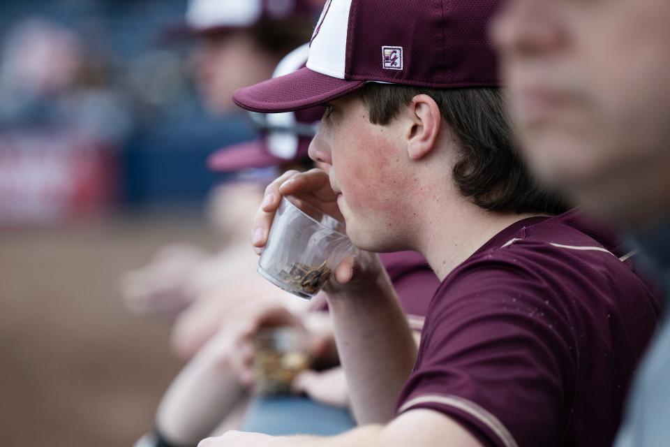 Shepherd Hill's Ashtyn Bennett uses a cup to collect seed shells Monday at Polar Park.