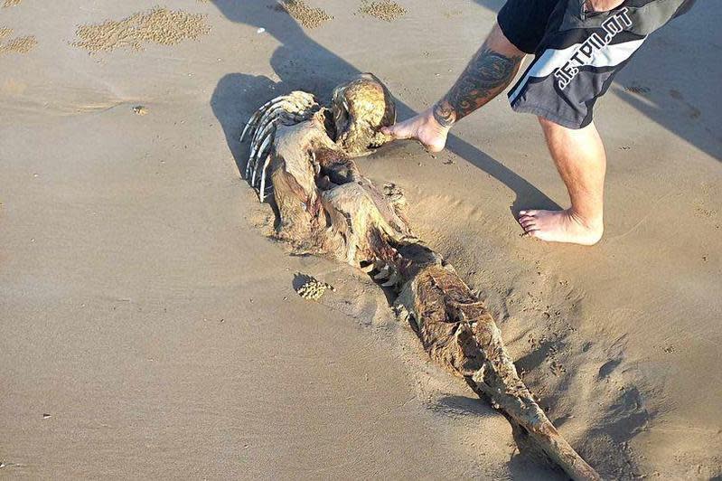 奧茲在澳洲的海邊發現了一具令人匪夷所思的神祕屍體。（翻攝Bobbi-Lee Oates/Pen News）