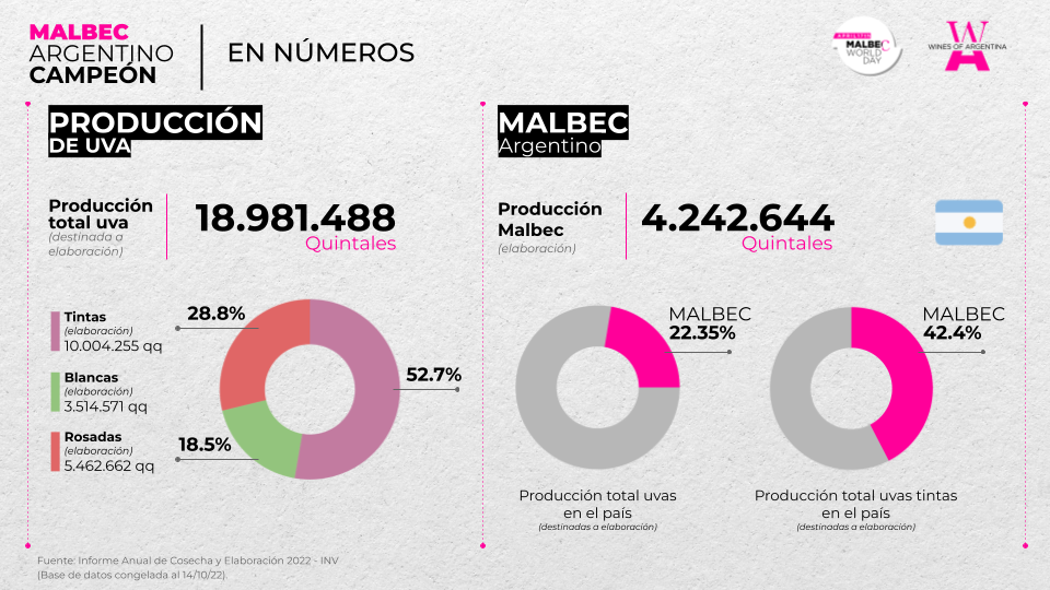 El malbec en números