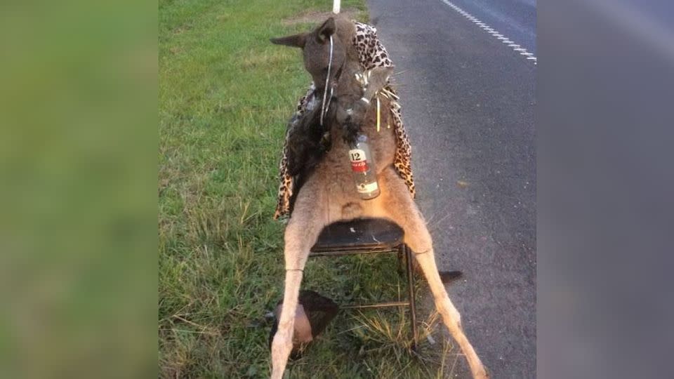 The disturbing image of the kangaroo was shared in hope finding more information. Source: DELWP