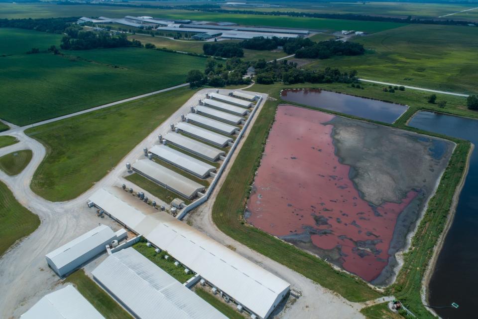 Anaerobic manure lagoons are seen at a large-scale hog farm, one of the aerial views in the new film “Liminal: Indiana in the Anthropocene.”