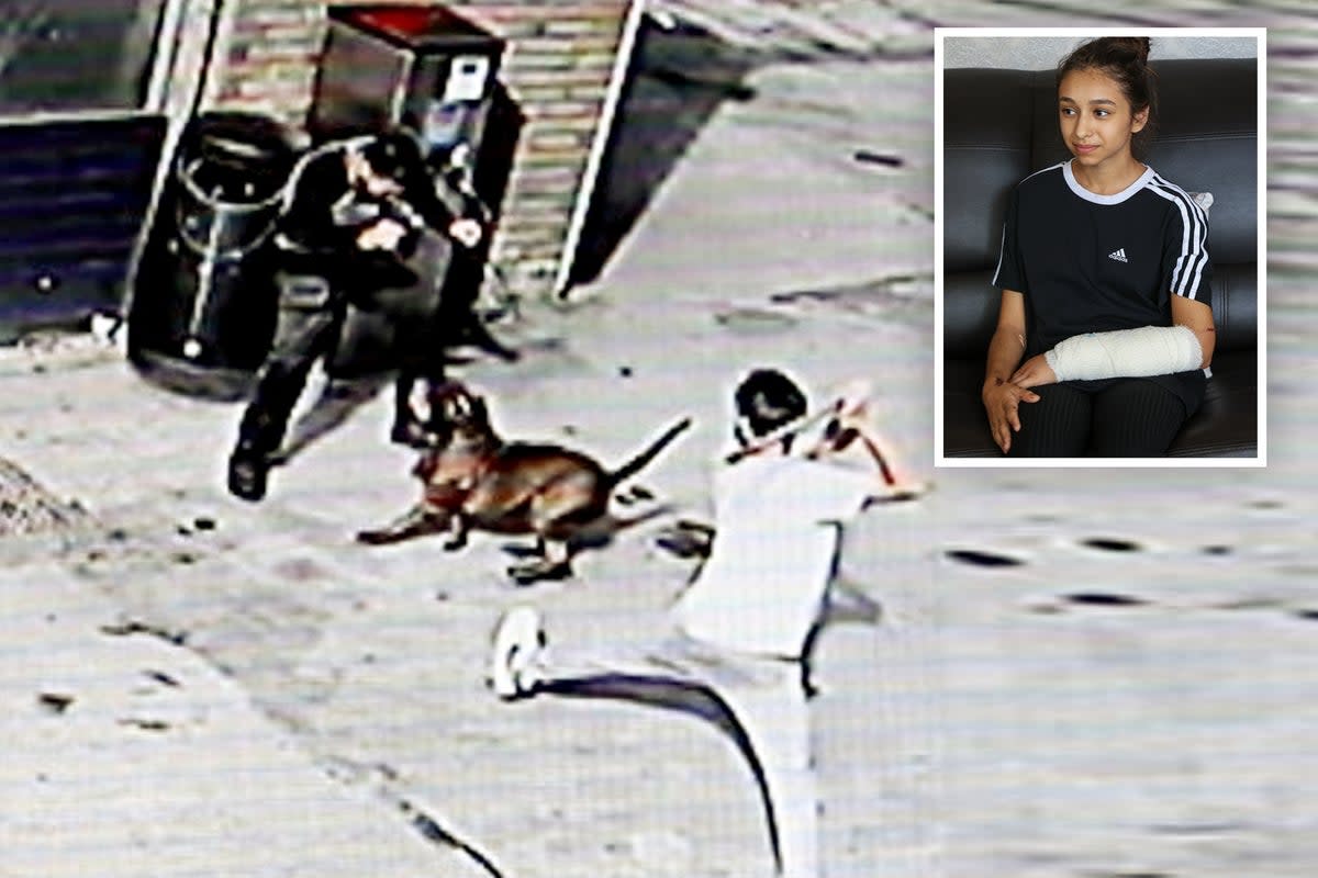 A dog was captured on CCTV attacking members of the public in Birmingham, including an 11-year-old girl (SWNS)