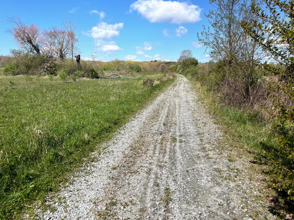 The former farmland in Occum set to become Business Park North.