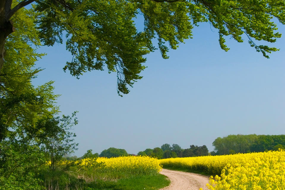 Vormals ein kleiner Feldweg, hat ihn die Stadt in Lütjenburg zur Straße ausgebaut. Dafür soll nun auch ein Landwirt bezahlen. (Symbolbild: ddp)