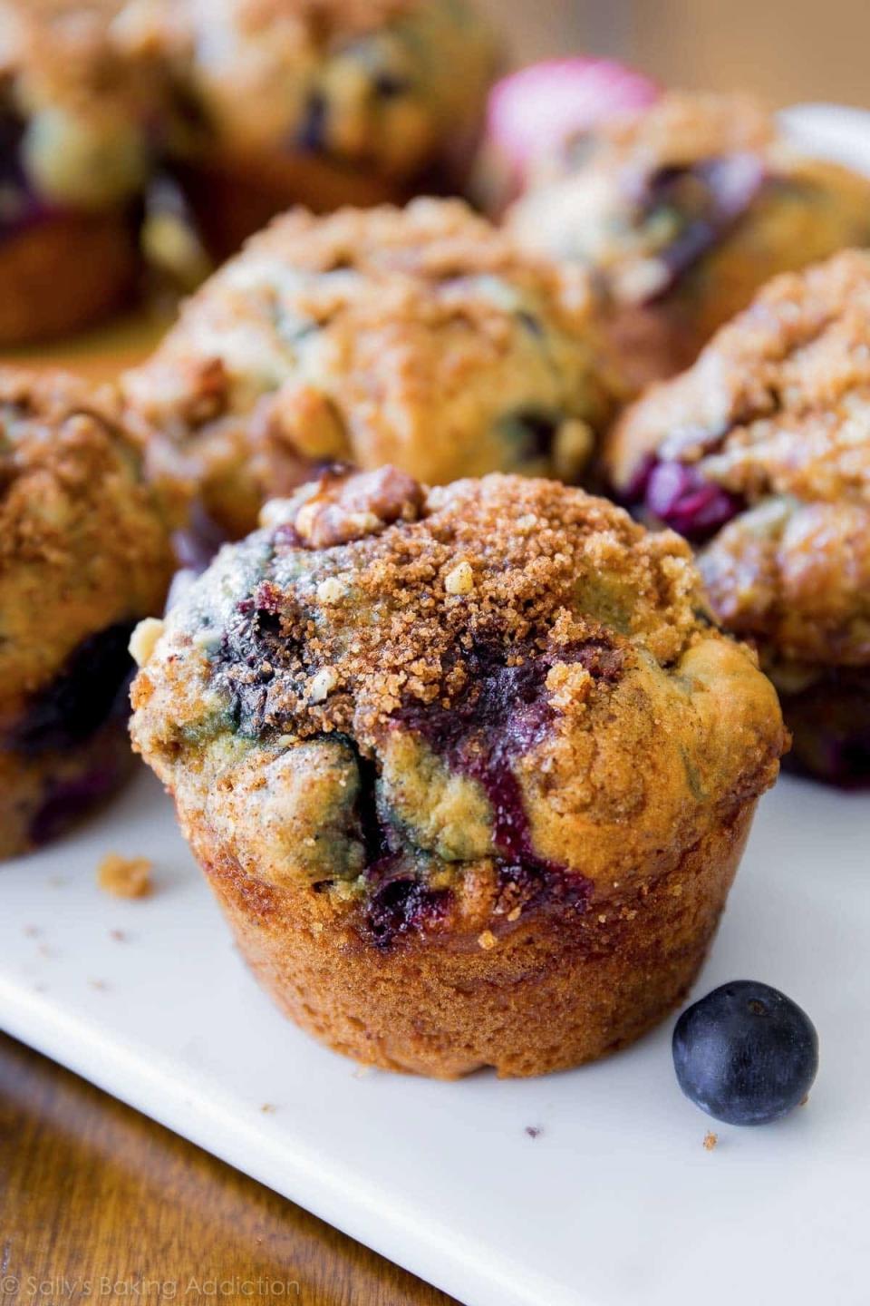 Freshly baked blueberry muffins with streusel topping on a white plate with a single berry