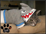 <div class="caption-credit"> Photo by: Etsy</div><div class="caption-title">3. Cat Shark</div>We can't leave the cats out you guys. <br> <a rel="nofollow noopener" href="http://blogs.babble.com/pets/2012/08/14/does-your-pet-love-shark-week-too-6-shark-costumes-for-your-dog-or-cat/#cat-shark" target="_blank" data-ylk="slk:Get it from BuyCoolCrap, $35.00;elm:context_link;itc:0;sec:content-canvas" class="link "><i>Get it from BuyCoolCrap, $35.00</i></a>