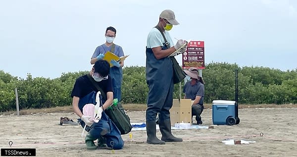 南市農業局與保育團體辦黑琵棲地巡守及傷鳥救援演練，公私協力營造鳥類安全棲息環境。（記者李嘉祥攝）