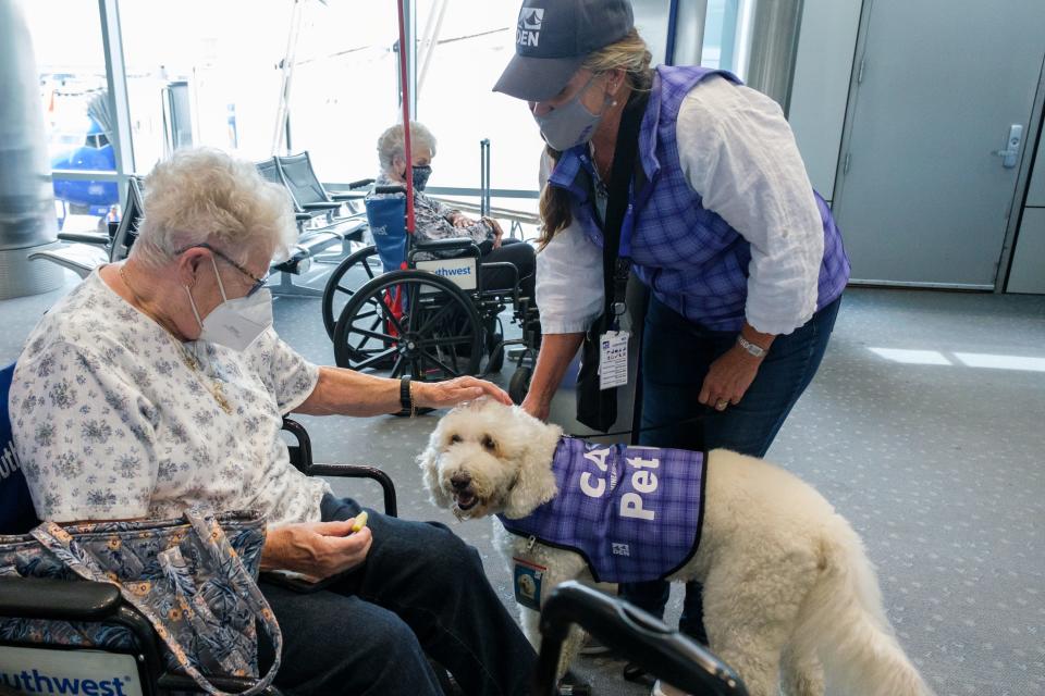 Therapy dogs provide roaming emotional support for travelers, rather than focusing on a specific group.