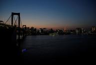 The Wider Image: Postcards from Tokyo: light and shadow ahead of pandemic Olympics