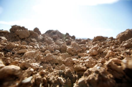 Dry soil in a field affected by drought is pictured in Verzeille near Carcassonne