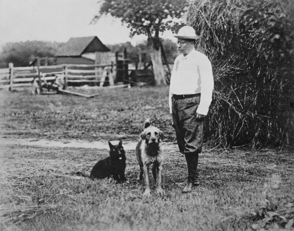 Theodore Roosevelt, 26th President of the United States, with his dogs at a farm, 1905. (Getty Images)