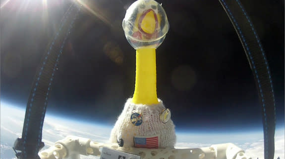 Camilla, the mascot of NASA’s Solar Dynamics Observatory, rode a balloon into the upper atmosphere during a solar radiation storm on March 10, 2012.