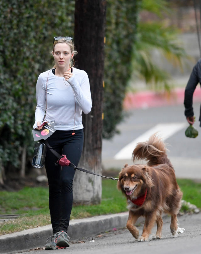 Amanda Seyfried Goes for a Walk with Her Dog, Plus Liam Hemsworth, Salma  Hayek & More