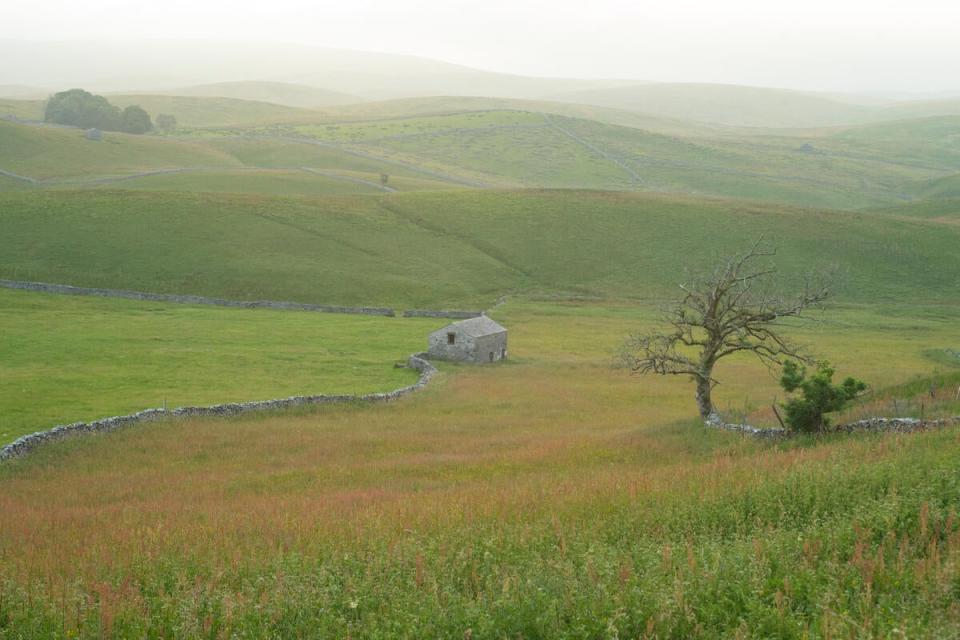 Mist shrouded landscape scene showing the contrast between heavily grazed land (at left) and ground left more natural, in Yorkshire (Andrew Parkinson/WWF-UK/PA)