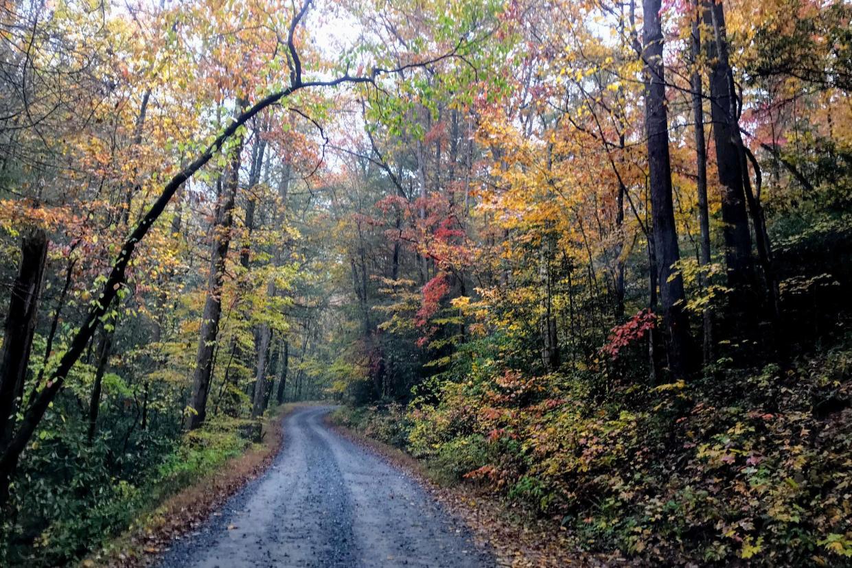 Georgia: Cohutta Wilderness Loop