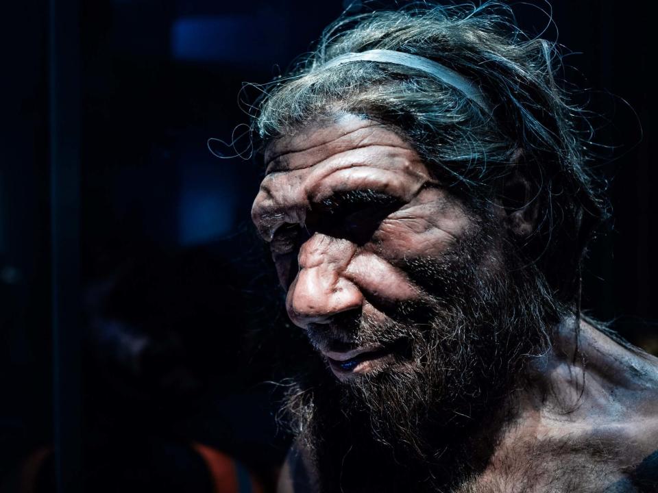 Neanderthals may have been wiped out by a minor childhood ailment: Shutterstock/Chettaprin P