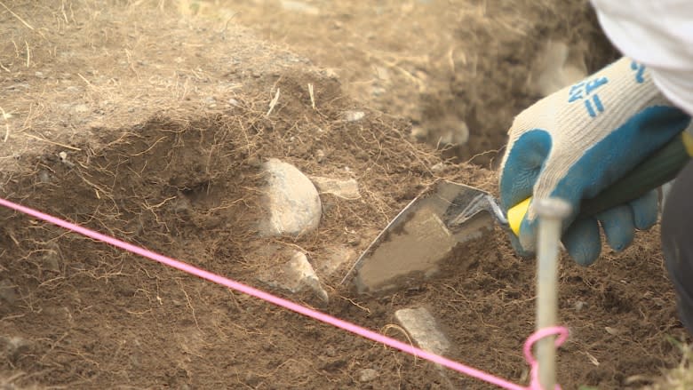 Digging up the 17th century with MUN's archaeology summer field school