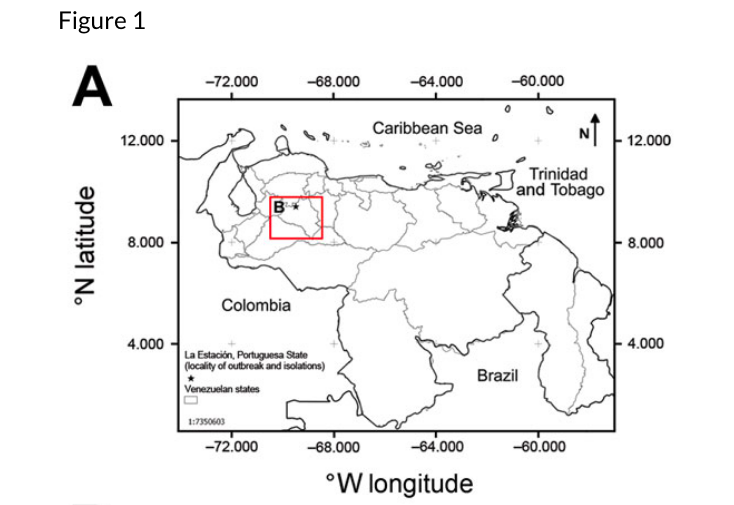 En el cuadro rojo se observa la ubicación del brote del virus Mayaro en La Estación, municipio Ospino, del estado Portuguesa en Venezuela, en 2010. (Captura de pantalla Centros de Control y Prevención de Enfermedades)