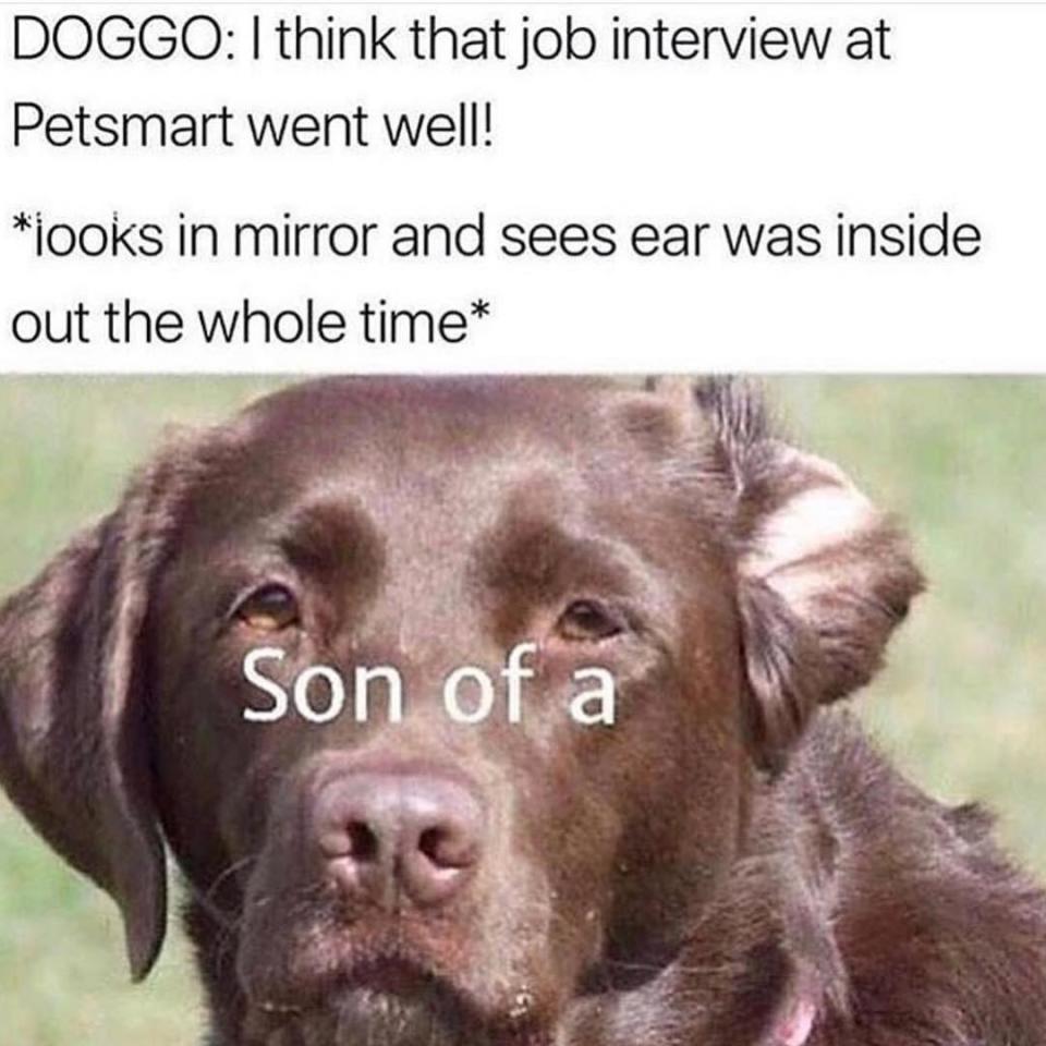 "son of a"