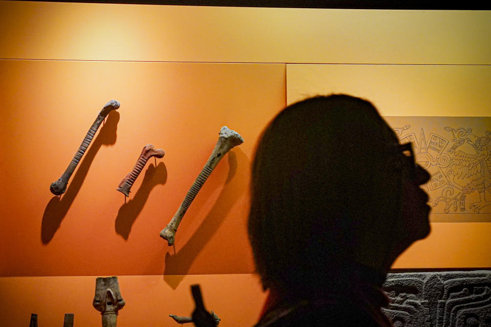 Human bones from early Aztecs flank a smaller ceramic bone of their creation for use in rituals on display before being removed from public viewing at the American Museum of Natural History, Tuesday, Oct. 17, 2023, in New York. (AP Photo/Bebeto Matthews)