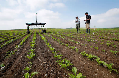 The prototype of an autonomous weeding machine by Swiss start-up ecoRobotix is pictured during tests on a sugar beet field near Bavois, Switzerland May 18, 2018. REUTERS/Denis Balibouse