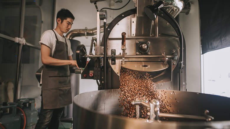 person using commercial coffee roasting equipment
