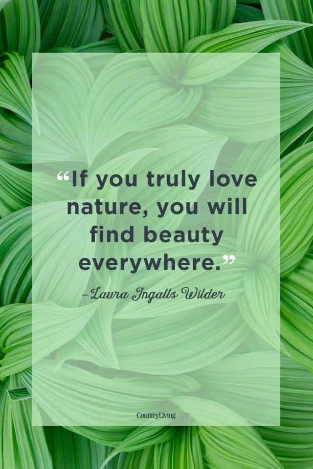 nature quotes about love