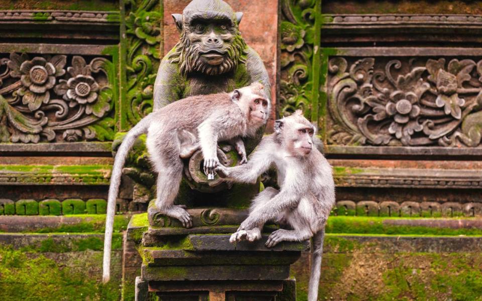 Ubud, Bali, Indonesia