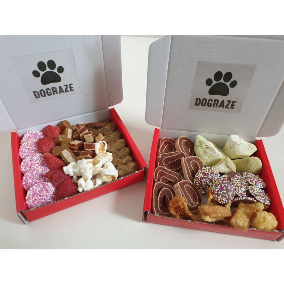 dog treat box