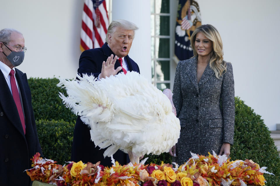 President Donald Trump pardons Corn, the national Thanksgiving turkey, in the Rose Garden of the White House, Tuesday, Nov. 24, 2020, in Washington, as first lady Melania Trump and National Turkey Federation Chairman Ron Kardel of Walcott, Iowa, look on. (AP Photo/Susan Walsh)