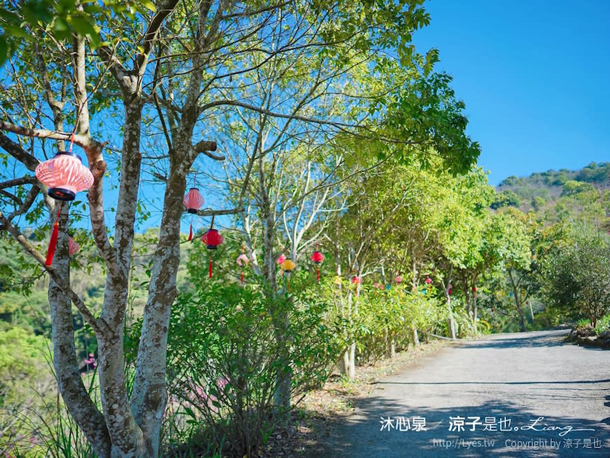 台中新社｜沐心泉休閒農場