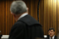 Forensic investigator Johannes Vermeulen, right, speaks during a cross examination by Barry Roux, the lawyer defending Oscar Pistorius, at the high court in Pretoria, South Africa, Thursday, March 13, 2014. Oscar Pistorius is charged with murder for the shooting death of his girlfriend, Reeva Steenkamp, on Valentines Day in 2013. (AP Photo/Themba Hadebe, Pool)