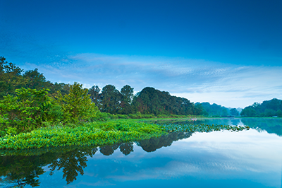 An image of a 60-acre lake at Tuckahoe State Park.