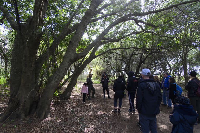 En la Isla Rico hay dos senderos interpretativos señalizados, uno que bordea un espejo de agua y otro que se adentra en el monte