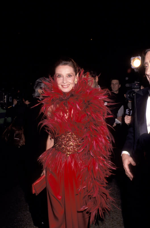 Audrey Hepburn attending California's Lifetime Achievement Awards in 1988.<p>Photo: Ron Galella/Ron Galella Collection via Getty Images</p>