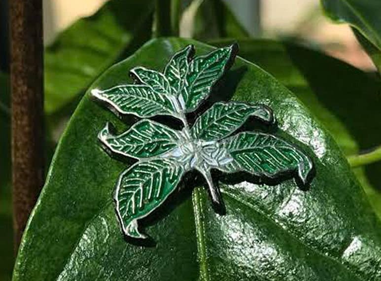 We all know coffee beans are best when they&rsquo;re brown and roasted, but they actually start out as beautifully vibrant plants. The coffee lover in your life can <strong><a href="https://www.sweetmarias.com/coffee-leaves-enamel-lapel-pin.html" target="_blank" rel="noopener noreferrer">affix this pin to their jacket or bag</a></strong> to show off their coffee smarts.