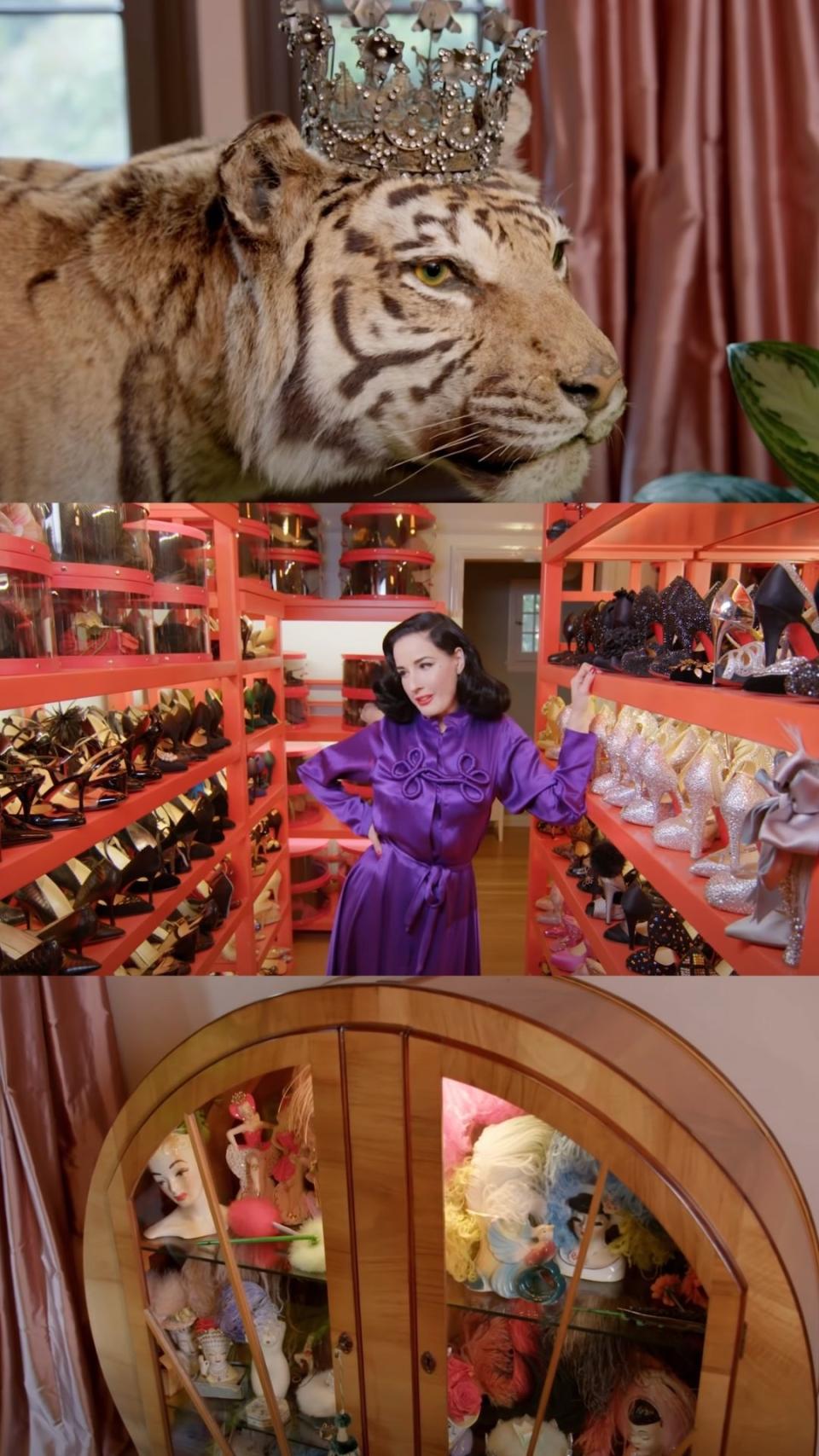 A taxidermy big cat, Dita in her shoe room, and a feather collection