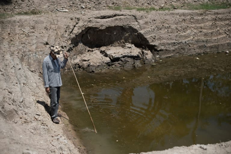 A Thai farmer looks at a nearly dried out farm pond, which is normally full, in Bang Pla Ma district, Suphanburi province, on July 2, 2015