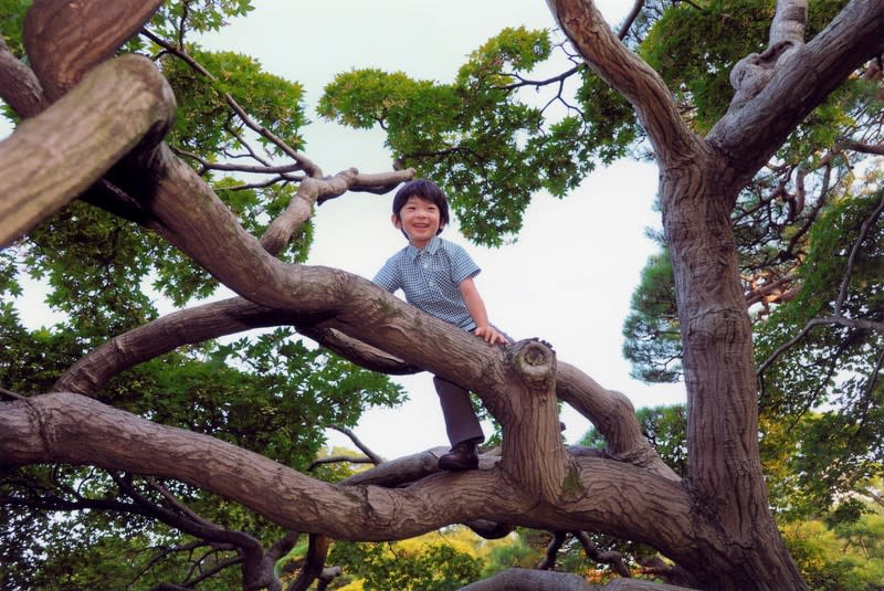FILE PHOTO: Imperial Household Agency of Japan handout photo shows Japan's Prince Hisahito smiling as he climbs up onto a tree in the Akasaka imperial estate in Tokyo