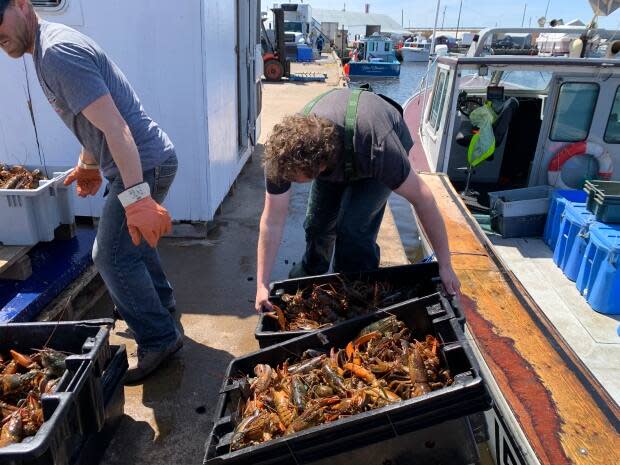 Fishermen, hired hands and buyers need strong backs to lift heavy tubs of fresh live lobster.