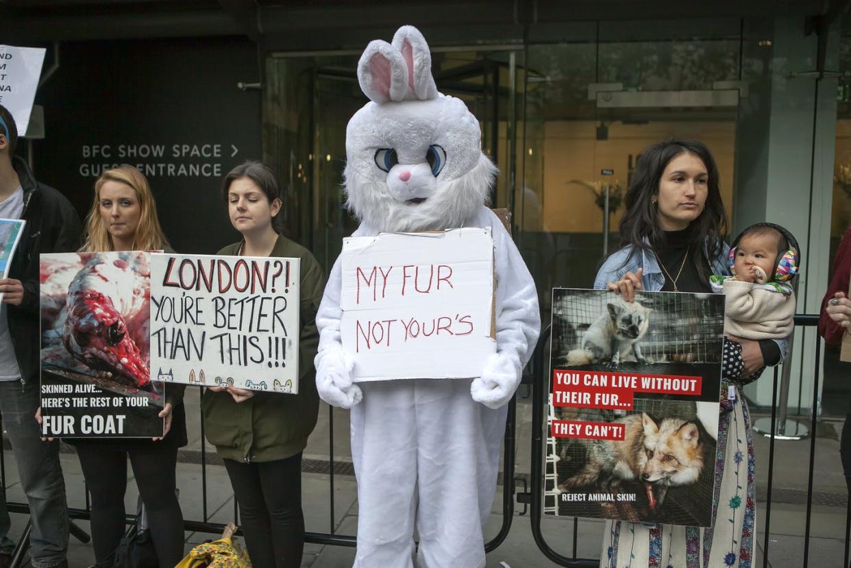 <span class="caption">Protesters hold signs outside women's fashion designer Eudon Choi in London during Fashion Week in 2017.</span> <span class="attribution"><a class="link " href="https://www.shutterstock.com/image-photo/london-england-september-15-2017-man-720967780" rel="nofollow noopener" target="_blank" data-ylk="slk:Elena Rostenova/www.shutterstock.com;elm:context_link;itc:0;sec:content-canvas">Elena Rostenova/www.shutterstock.com</a></span>