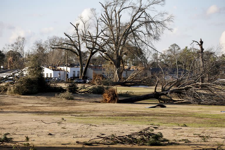 Árboles arrancados por el tornado que pasó por el centro de Selma, Alabama