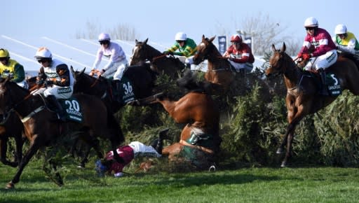 Nicky Henderson's Grand National runner Valtor means literally deep thinker not necessarily a quality one needs for the brutal challenge of Aintree's fences