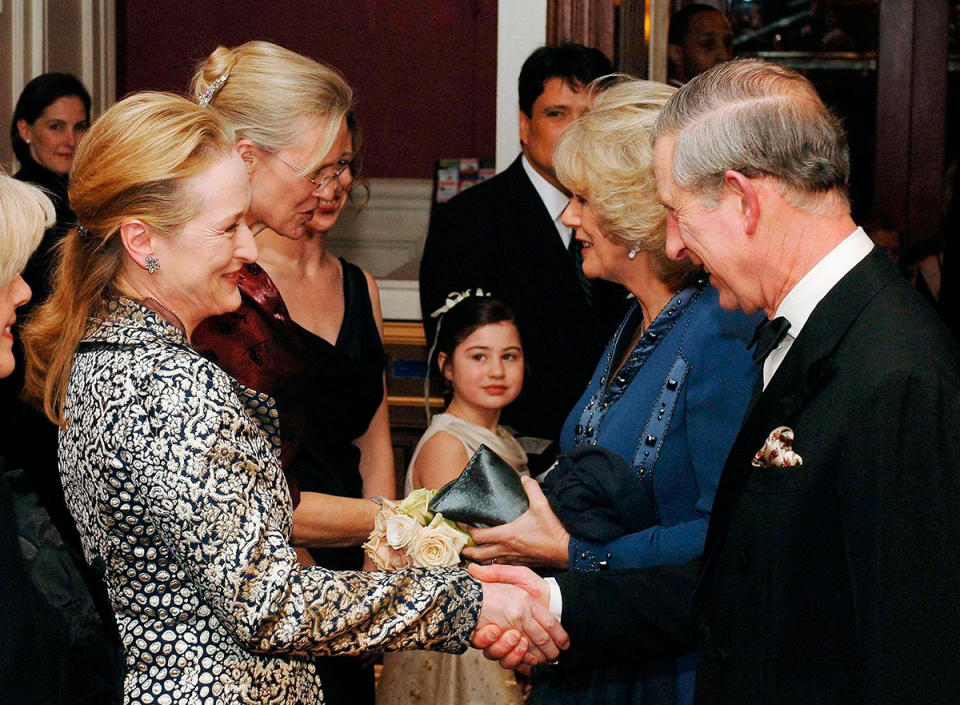 <p>In January 2007, Prince Charles and Camilla, Duchess of Cornwall, traveled to N.Y.C., where Charles received the Global Environmental Citizen Award from Harvard Medical School's Center for Health and the Global Environment. He also met national treasure Meryl Streep (left).</p>