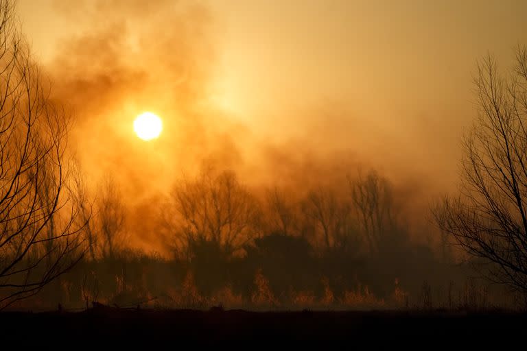 Uno de los focos de incendios que se registró en agosto pasado en el Delta del Paraná cerca de Victoria, provincia de Entre Ríos