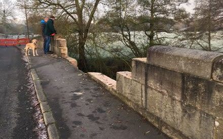 The Vauxhall Insignia landed on its roof after falling around 30ft into the River Derwent - Credit: Derby Telegraph/BPM MEDIA